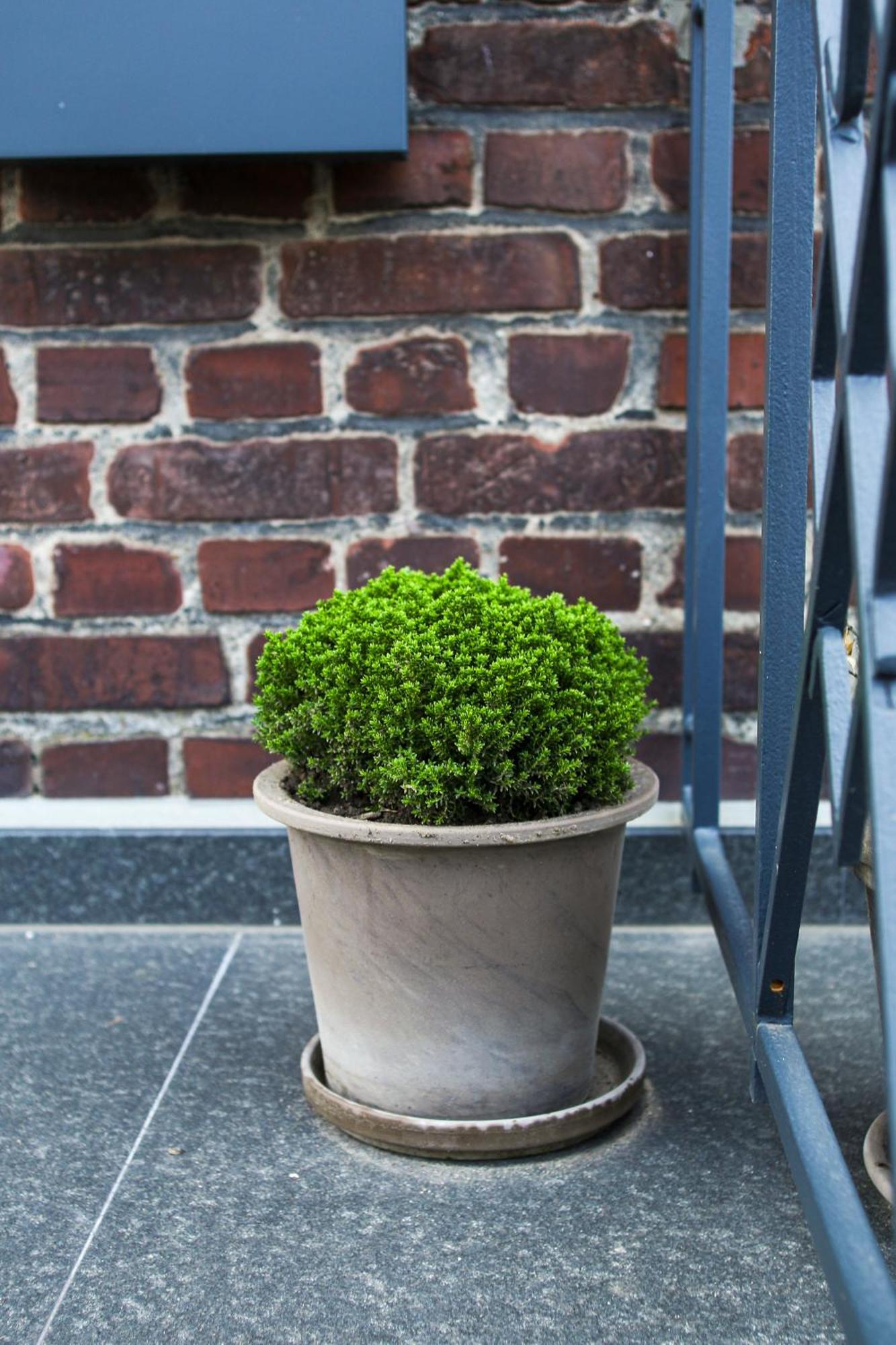 Apartment Green46 Meerbusch